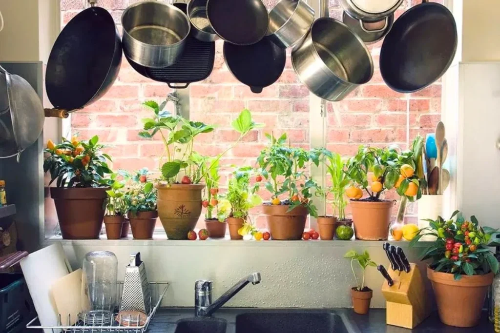 Chăm sóc khu vực bếp