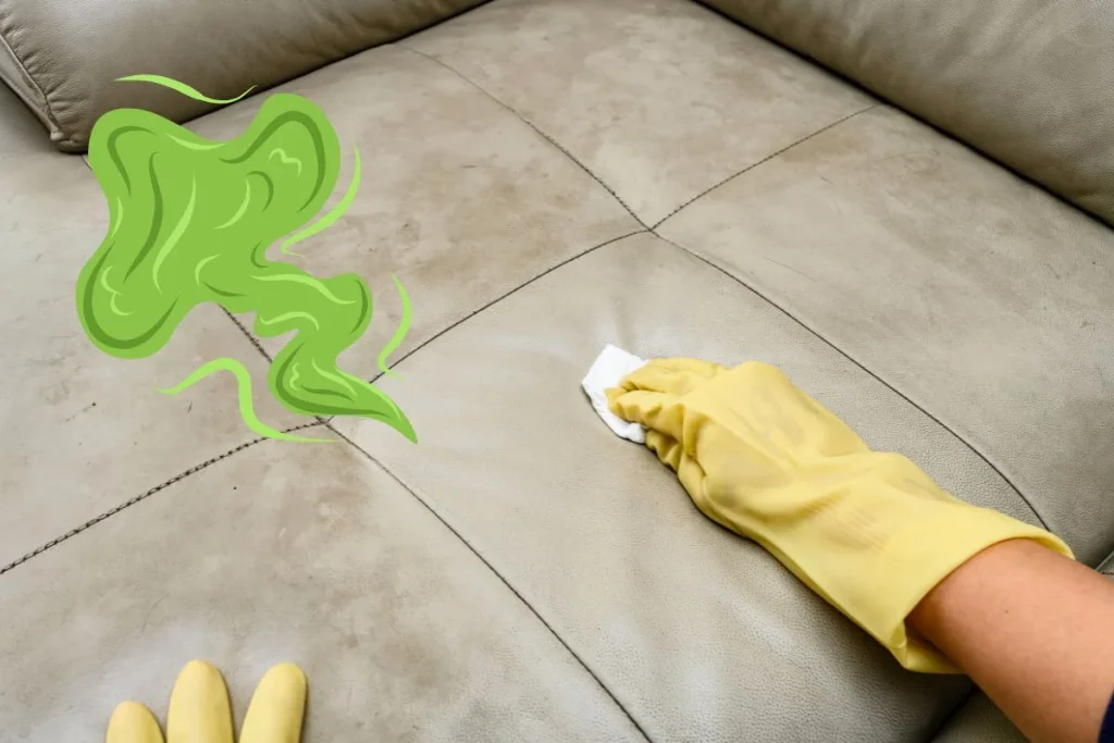 Khi sofa có mùi khó chịu do ẩm mốc hoặc mồ hôi tích tụ
