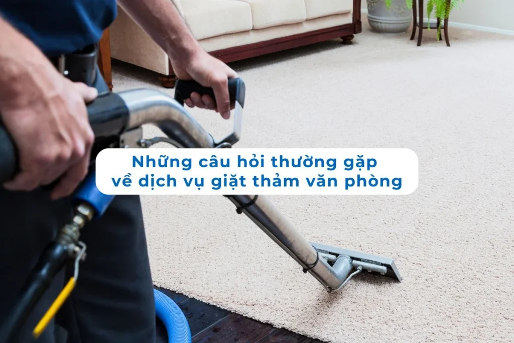 Những câu hỏi thường gặp về dịch vụ giặt thảm văn phòng