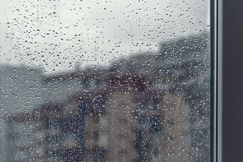 Kiểm tra kính sau mưa, gió bụi để phát hiện vết bẩn, nước đọng và làm sạch kịp thời