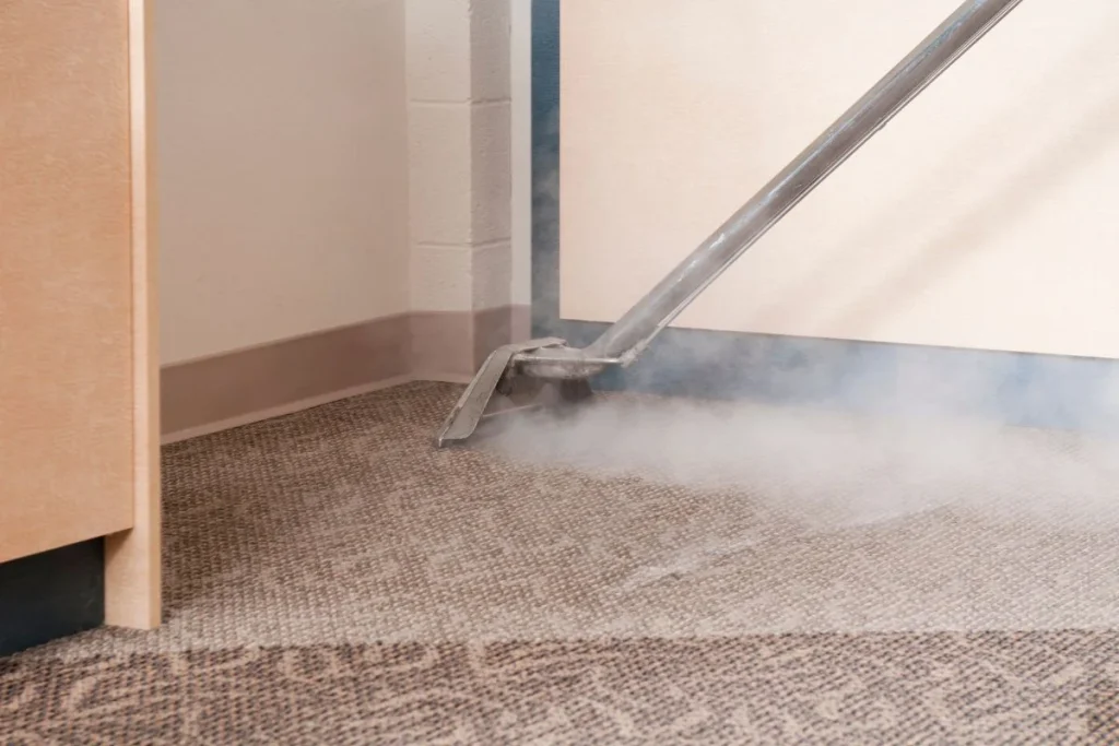 Giặt thảm bằng hơi nước nóng (Steam Cleaning)